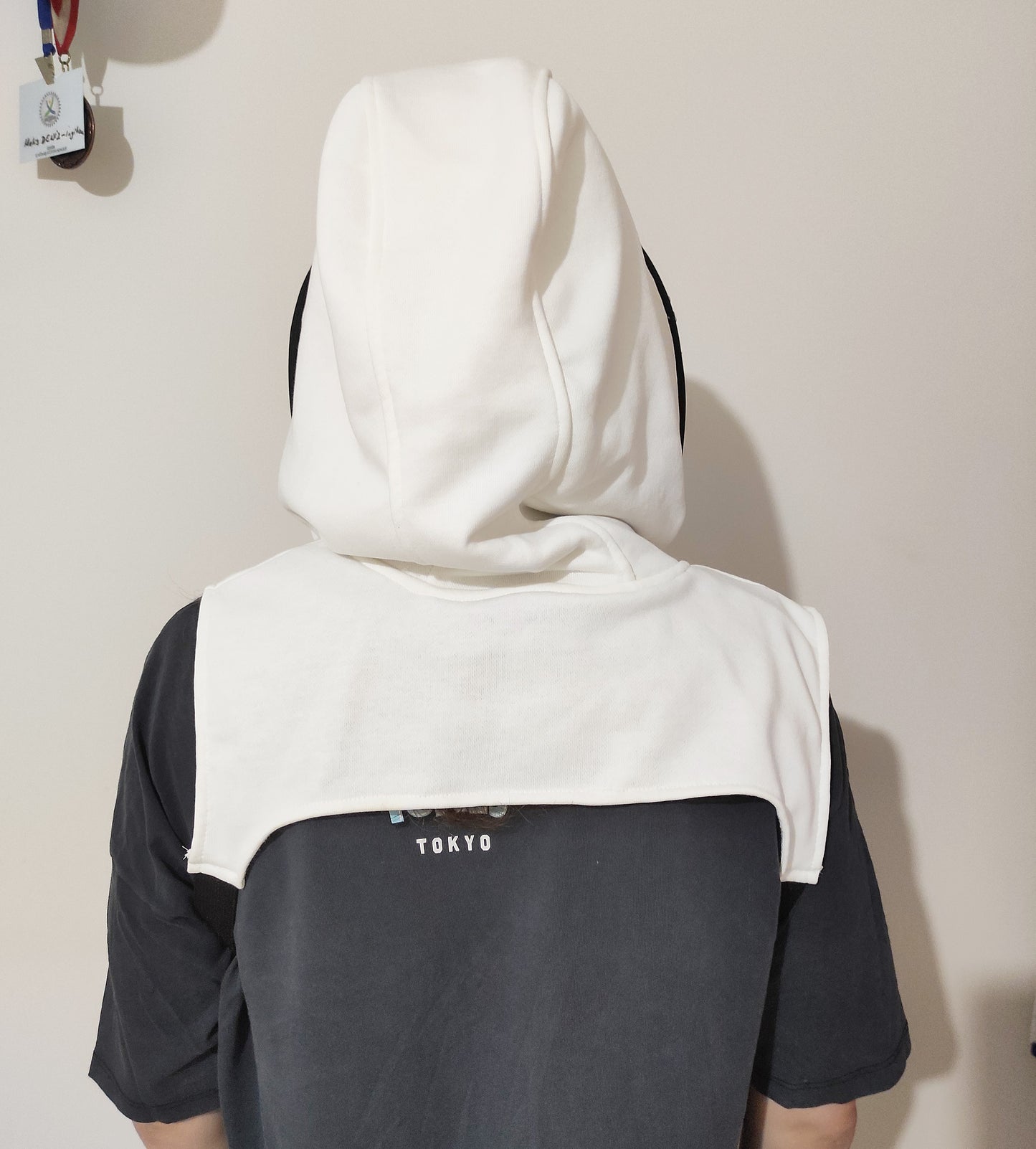 Handmade Mask / Half Zipped Polycarbonate Hood Shield , Face protective Shield